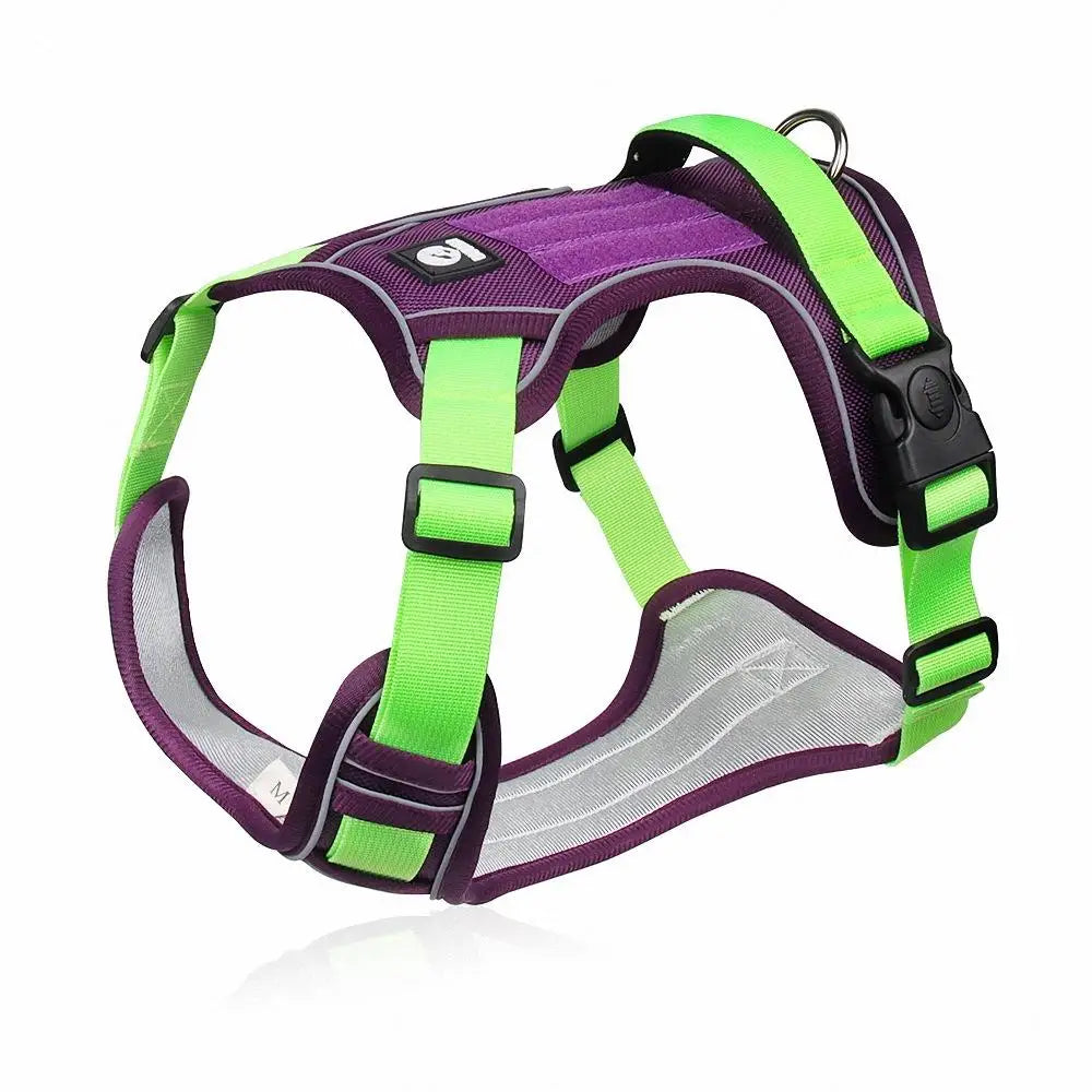 CalmWalk™ – Harnais Anti-Traction Confort & Sécurité