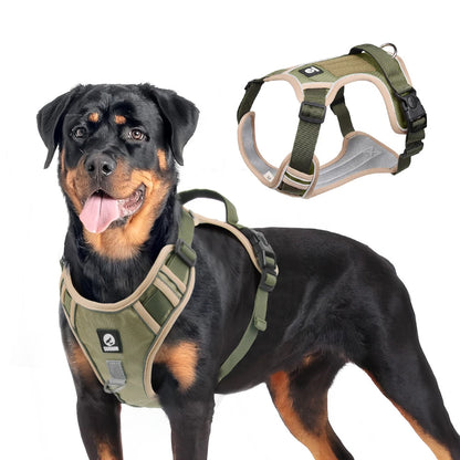 CalmWalk™ – Harnais Anti-Traction Confort & Sécurité