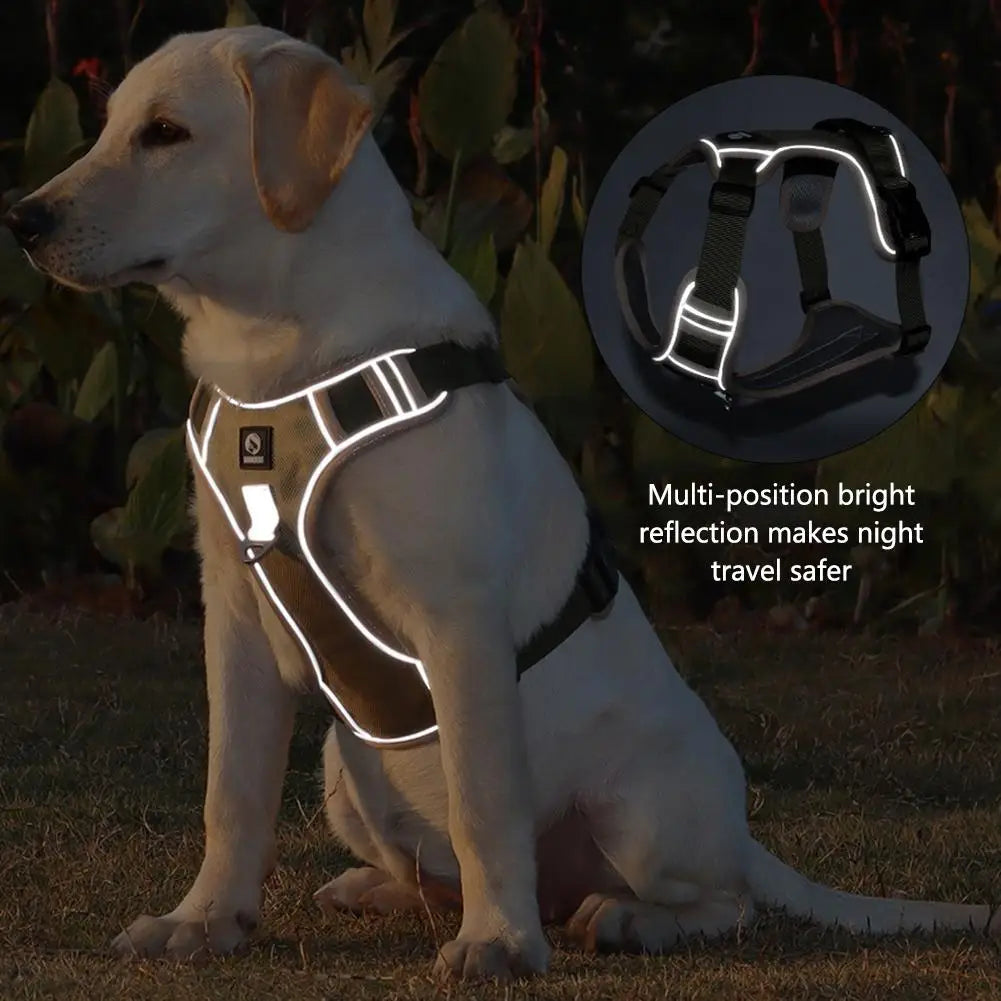 CalmWalk™ – Harnais Anti-Traction Confort & Sécurité